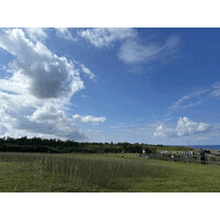 . logo - Similar company to Esa Logistics (Hk) Co., Ltd.