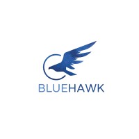BlueHawk.io logo - Similar company to The Dollar Detectives Society (Tdd)