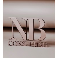 NB Consulting logo - Similar company to Nb Consulting Engineers