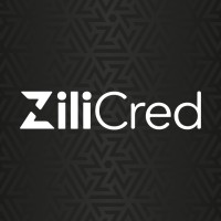 ZiliCred logo - Similar company to Shadowmatch Brasil