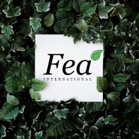 Fea International logo - Similar company to Feax International, S.A
