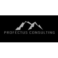 Profectus Consulting