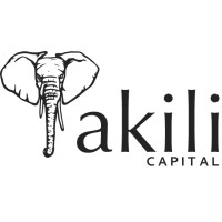 Akili Capital logo - Similar company to Skyline Talent Group