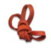 Debra Kling Colour Consultant, LLC logo - Similar company to Insight Placement Services