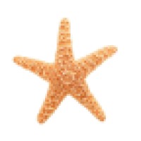Starfish Creative Events + Inspiration
