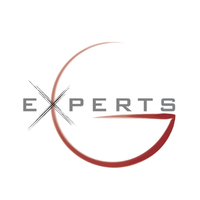 Experts Group Holding