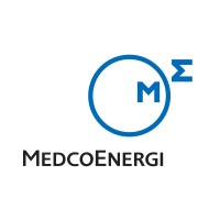 PT Medco Energi Internasional Tbk logo - Similar company to Hanochem