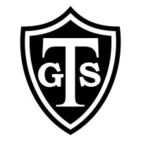 TIGRE Global Solutions Inc logo - Similar company to Archstone Security Llc