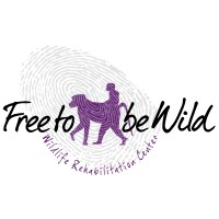 Free to be Wild logo - Similar company to Primelead Solutions Llc