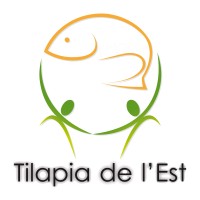Tilapia De l'Est logo - Similar company to Sib Young