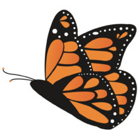 Texas Discovery Gardens logo - Similar company to Haus Of Blaylock