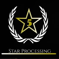 5 Star Processing logo - Similar company to 5 Star Payment Solutions