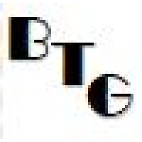 Bolnick Tax Group LLC logo - Similar company to Wize Pro Solutions