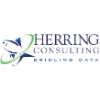 Herring Consulting, Inc.
