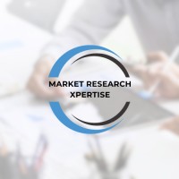 Market Research Xpertise logo - Similar company to Analytical Insiders Pro