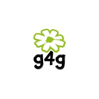 greenlight for girls logo - Similar company to Brugmann