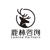 Lumine Partners logo - Similar company to Modellaa - طرحت رو بپوش