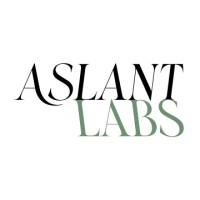 Aslant Labs logo - Similar company to Buzzlemedia