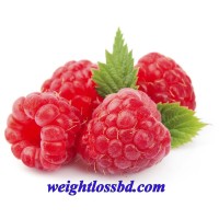 Weight Loss BD logo - Similar company to Semaglutide Enhanced Naturopathic Weight Loss
