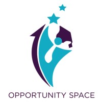 Opportunity Space 237 logo - Similar company to Ixio Analytics