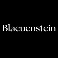 Blaeuenstein Consulting logo - Similar company to Balo.Studio