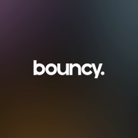 Bouncy logo - Similar company to Slay