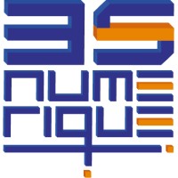 3S-NUMERIQUE logo - Similar company to Keleo - Le Sens Du Numérique
