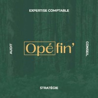 OPEFIN' HOLDING logo - Similar company to Irocko Consulting