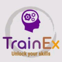 TrainEx logo - Similar company to Trainex, La Original