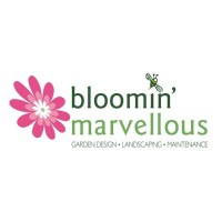 Bloomin Marvellous Landscapes Ltd logo - Similar company to North Valley Forge