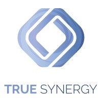 True Synergy Pty Ltd logo - Similar company to National Association Of Clean Air Agencies