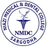 Niazi Medical & Dental College logo - Similar company to Mubarak Medical Complex