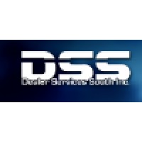 Dealer Services South, Inc logo - Similar company to Finance Concepts, Llc