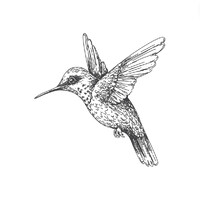 Verve Research logo - Similar company to Wps