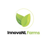 InnovaNL Consulting logo - Similar company to Spatial Engineering, Inc.