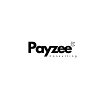Payzee Consulting logo - Similar company to Tech-Pack Assets