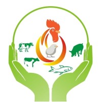 Aashirbad Agro Feeds Industry Pvt. Ltd. logo - Similar company to Delta Dynamics Academy