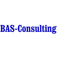 BAS-Consulting Ab logo - Similar company to Rapid Search