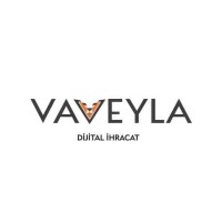 Vaveyla Group logo - Similar company to Software Academy