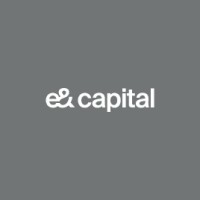 e& capital logo - Similar company to Gii