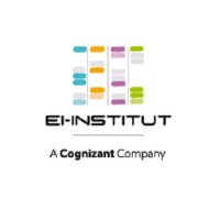 EI-Institut logo - Similar company to Brilliantservice Co.,Ltd.