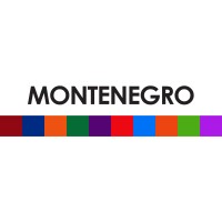 Montenegro, Inc. logo - Similar company to G.E - Montenegro