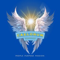 Caelorum Consulting logo - Similar company to Fedprofits