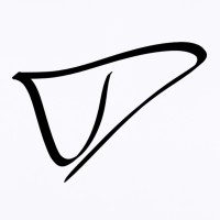 Data Falcon logo - Similar company to Health Triangle