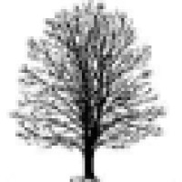 James L. Young Public Relations, Sycamore Press Div.; InsuranceProsGuides.com logo - Similar company to Atl Global Advisors