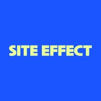 SITE EFFECT logo - Similar company to Betterworldagency