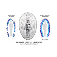 Schumann Instituut Nederland logo - Similar company to Woonwijzerwinkel
