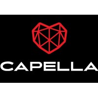 CAPELLA UAV Team logo - Similar company to Plakapp
