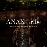 ANAX Tribe logo - Similar company to Steude Consulting