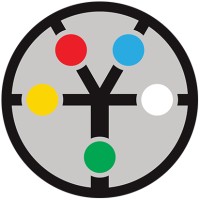 Indigstree Consulting & Research